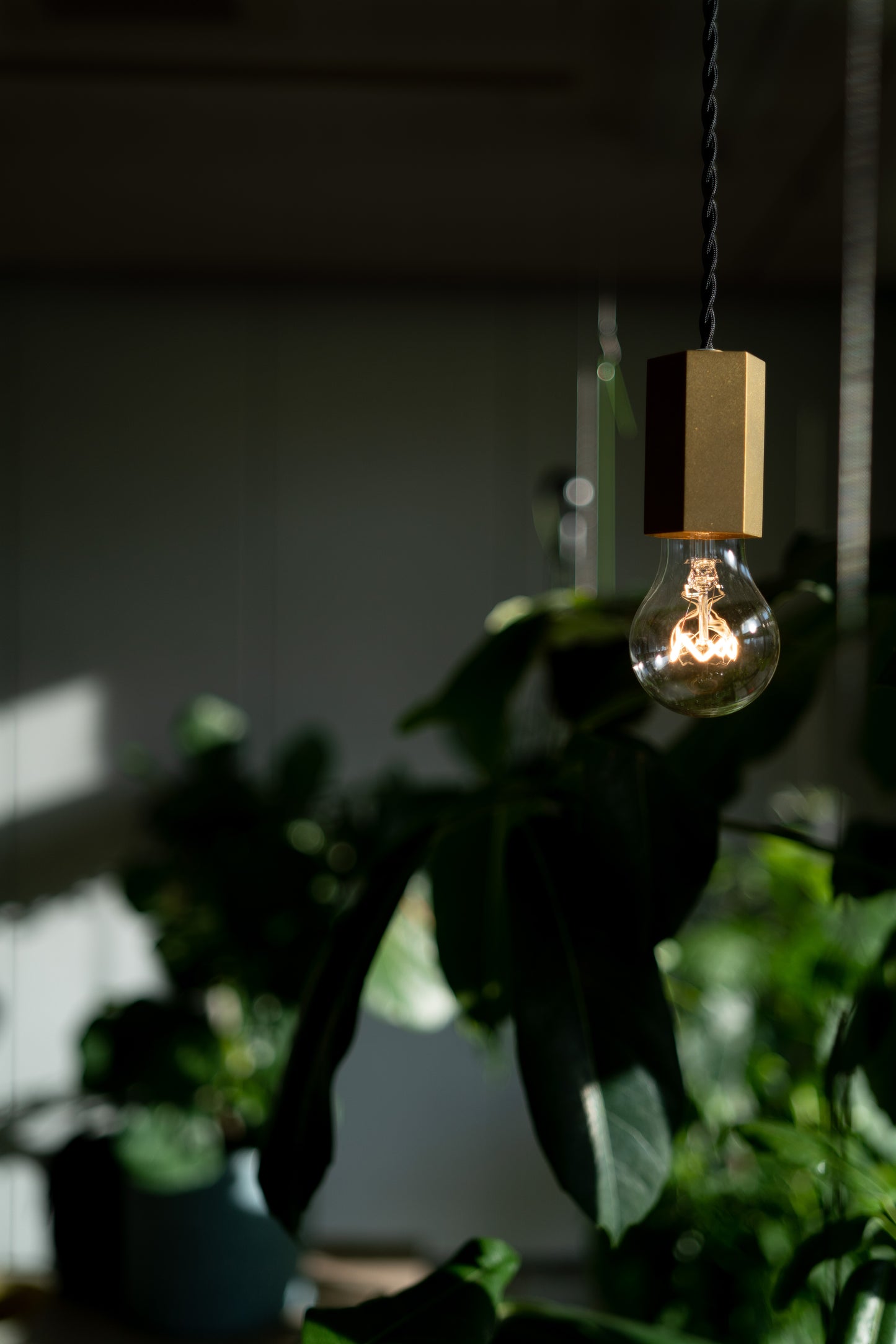 Pendant Light S / L (真鍮無垢 六角)